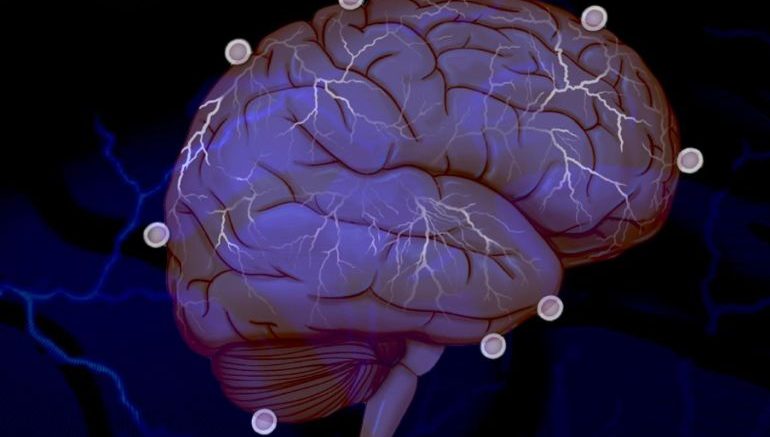 The Immune System Could Be Influencing Our Social Behavior