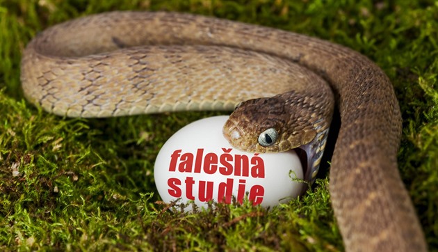 Falešná studie „českých lupičů“ vyšla v časopise, aby jej zdiskreditovala