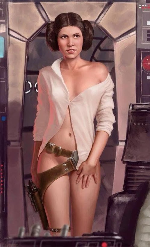 What is Princess Leia’s favourite porn category? Solo.