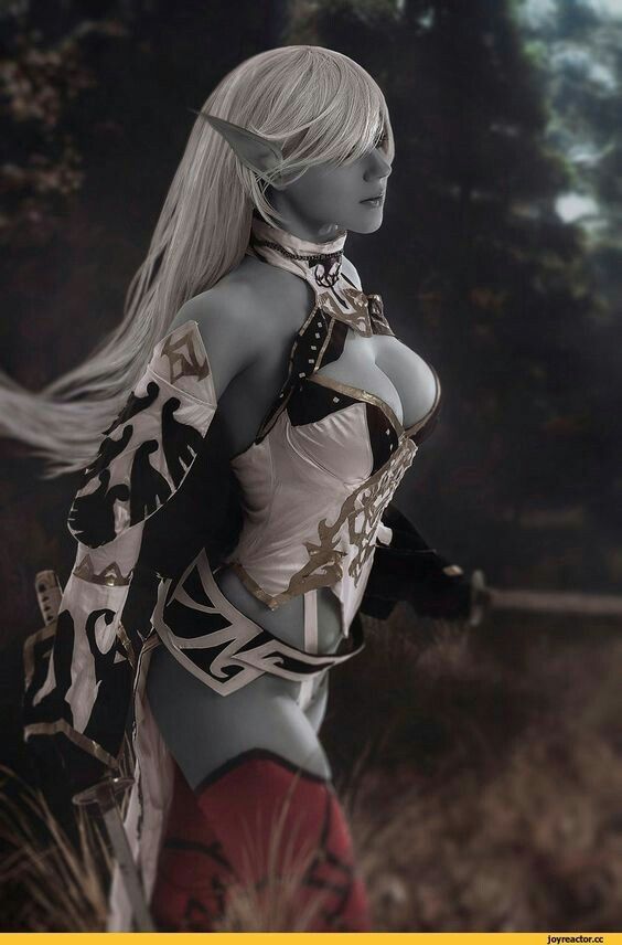Female elf is shelf