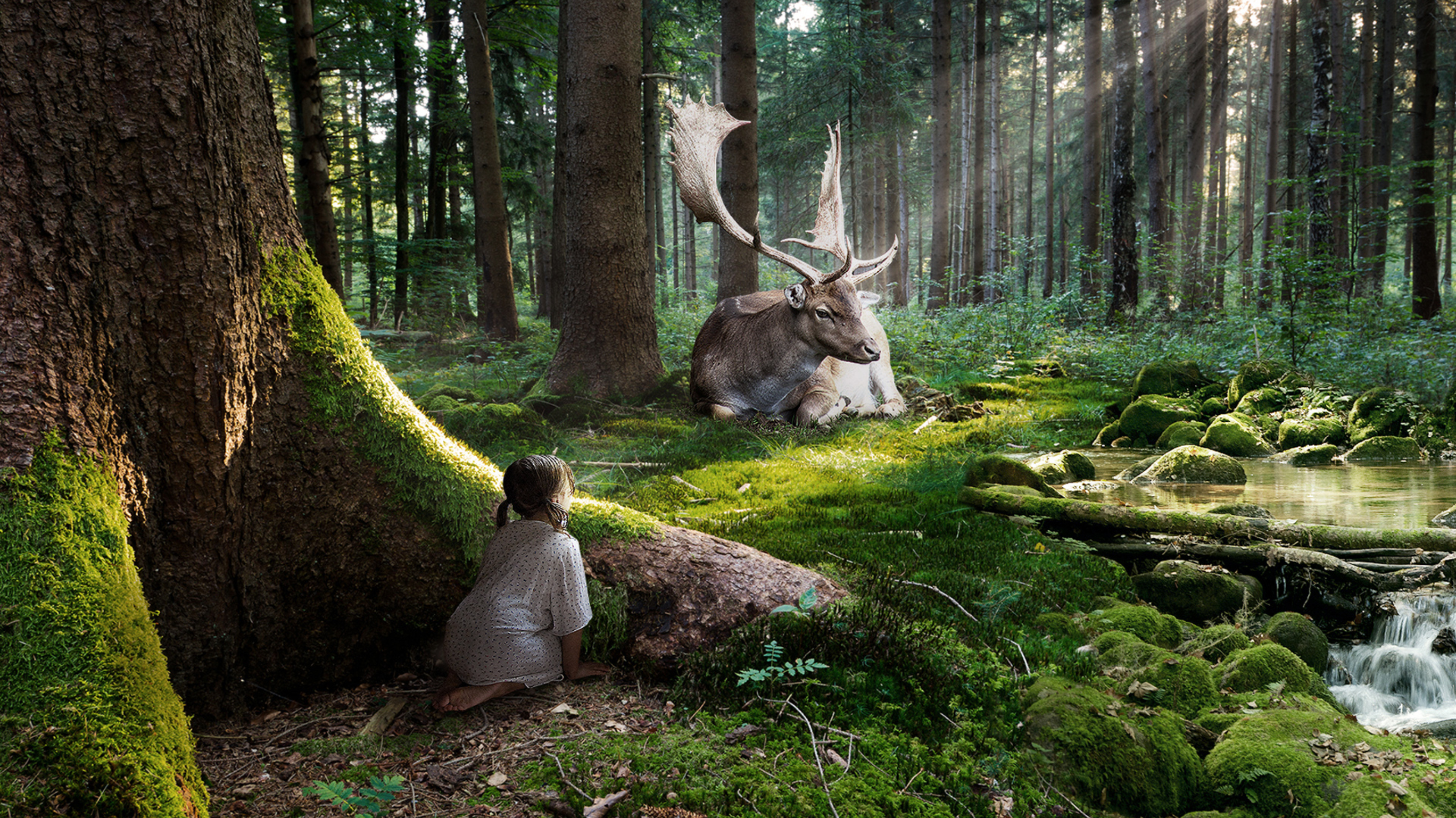 fairytale forest #art